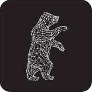 cc logo3 04 silverbear